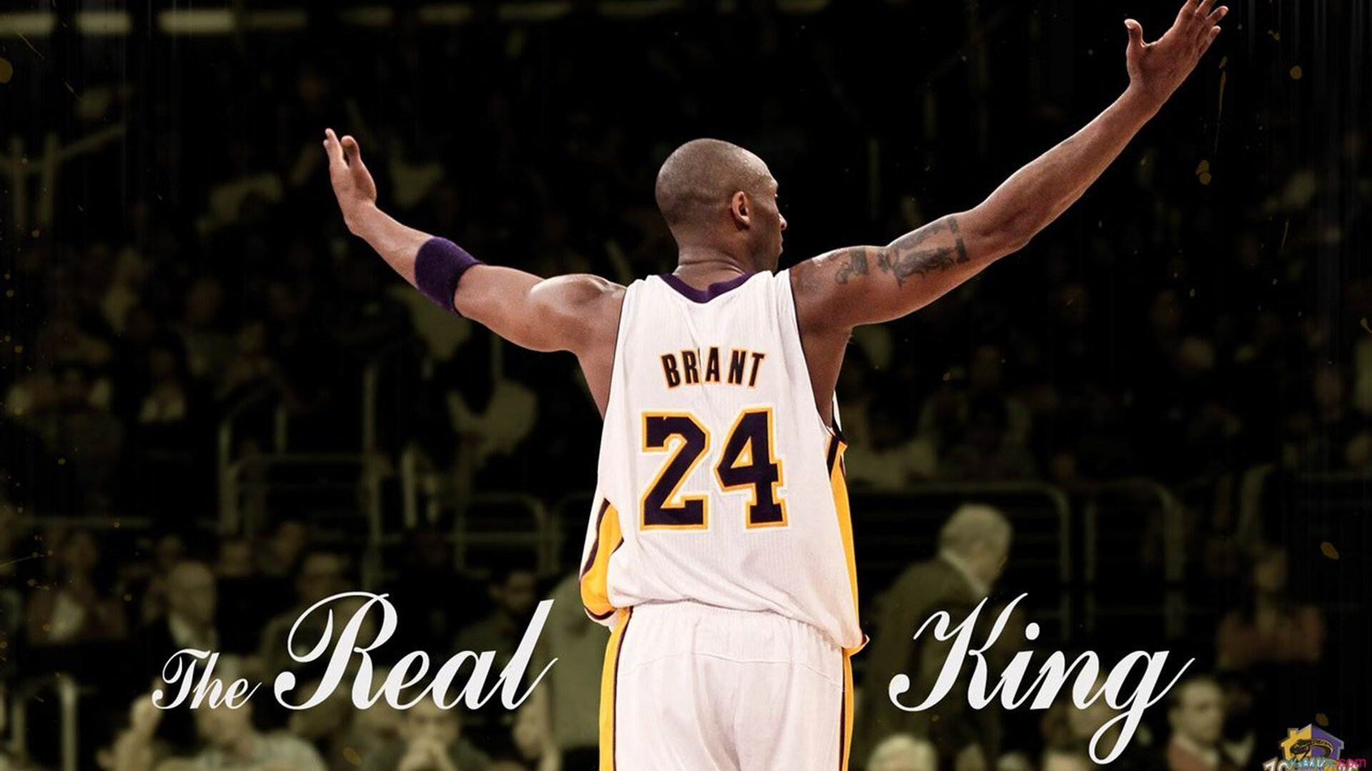 影响巨大的“裁判判罚”争议，联盟怎样不断完善制度？，nba裁判联盟